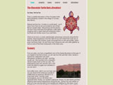 Chocolate Turtle (Old Site)