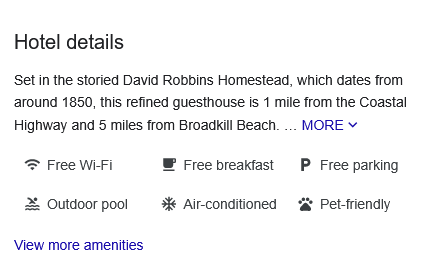 Google Knowledge Panel Hotel Details section