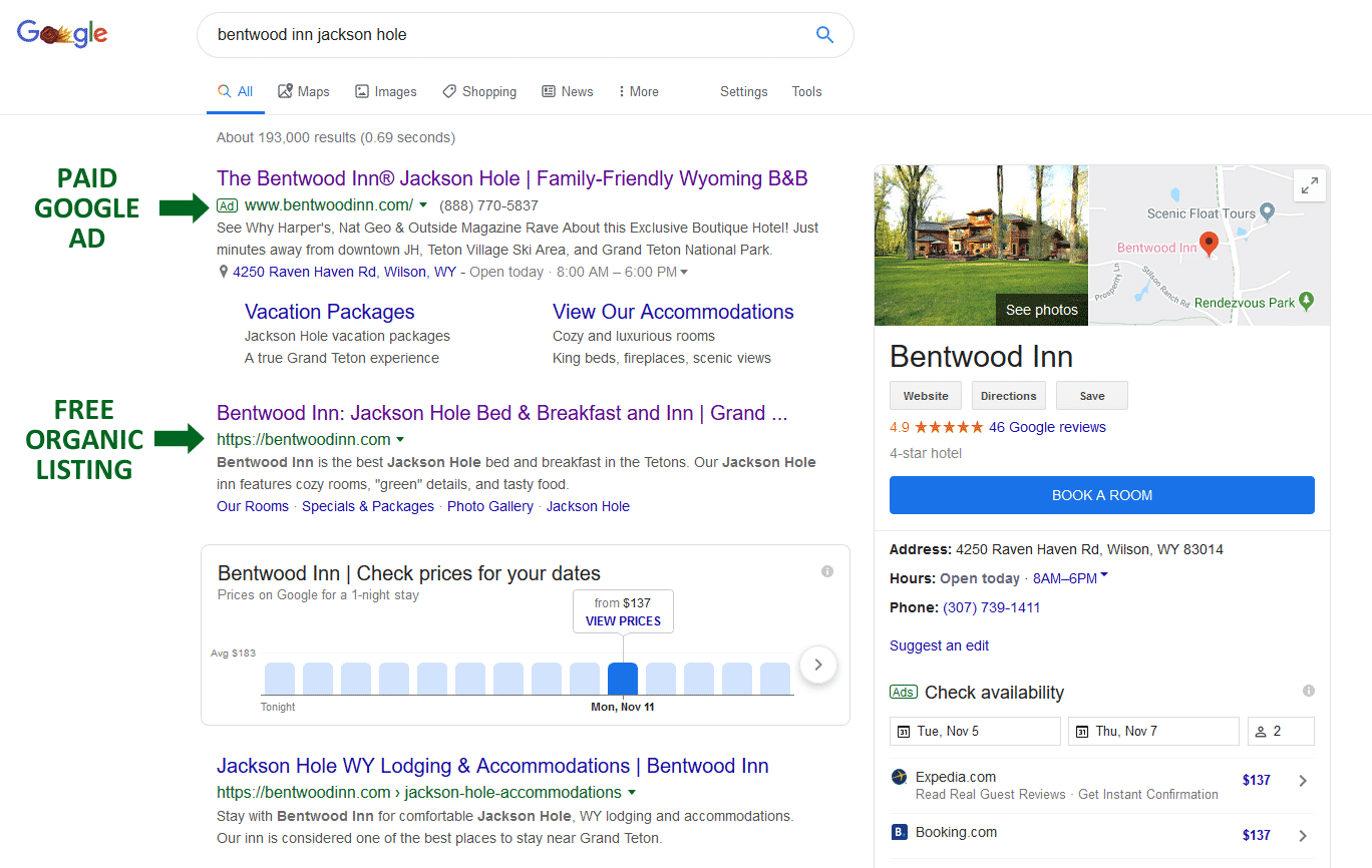 Snapshot of Google Ad and Organic listing