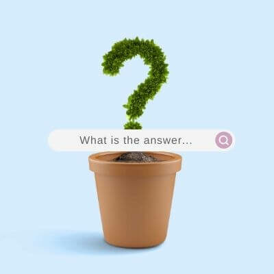Plant in the shape of a question mark in a terra cotts pot with a search field, centered, reading 