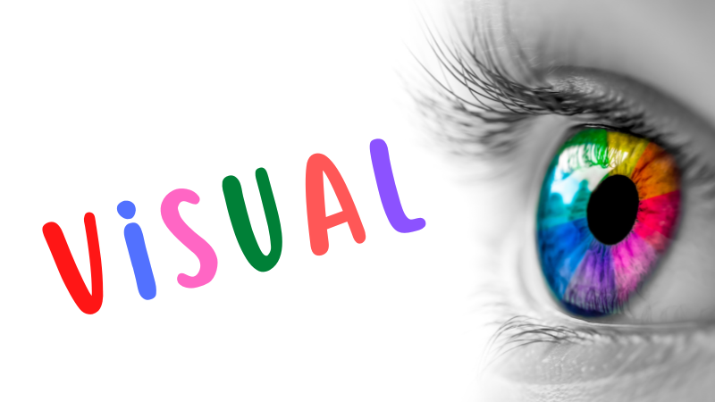 eyeball with multi color pupal with word visual